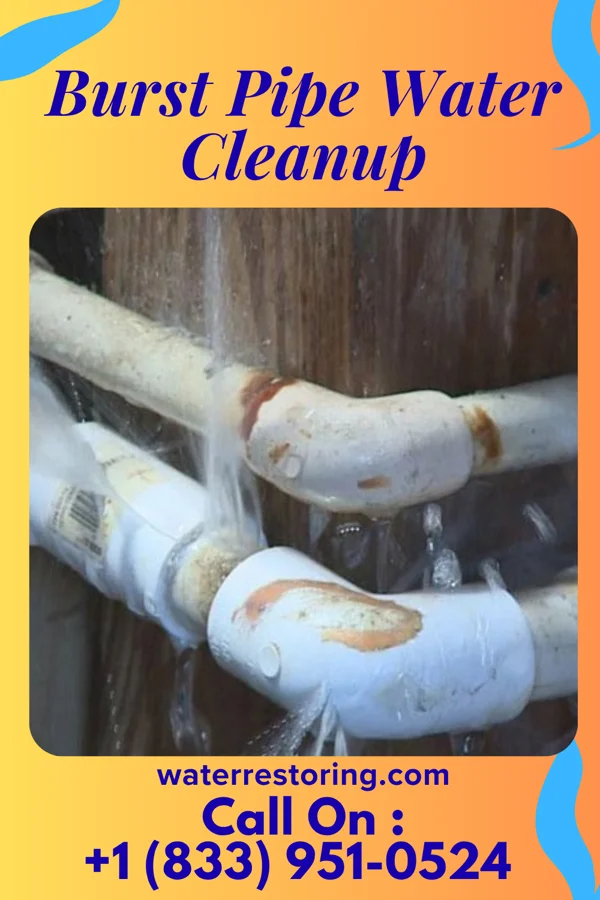 Burst Pipe Water Cleanup in Watts Mills, SC