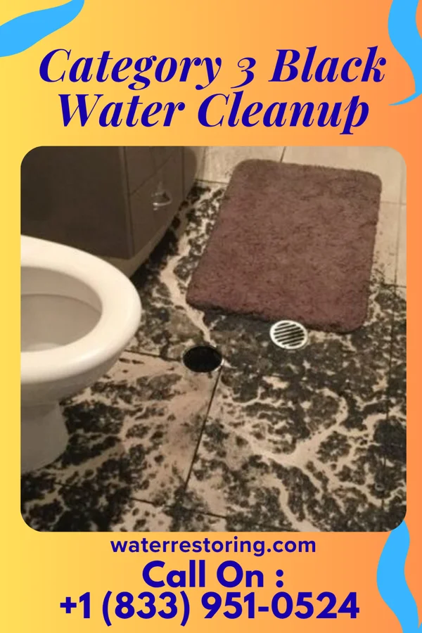 Category 3 Black Water Cleanup in Watts Mills, SC