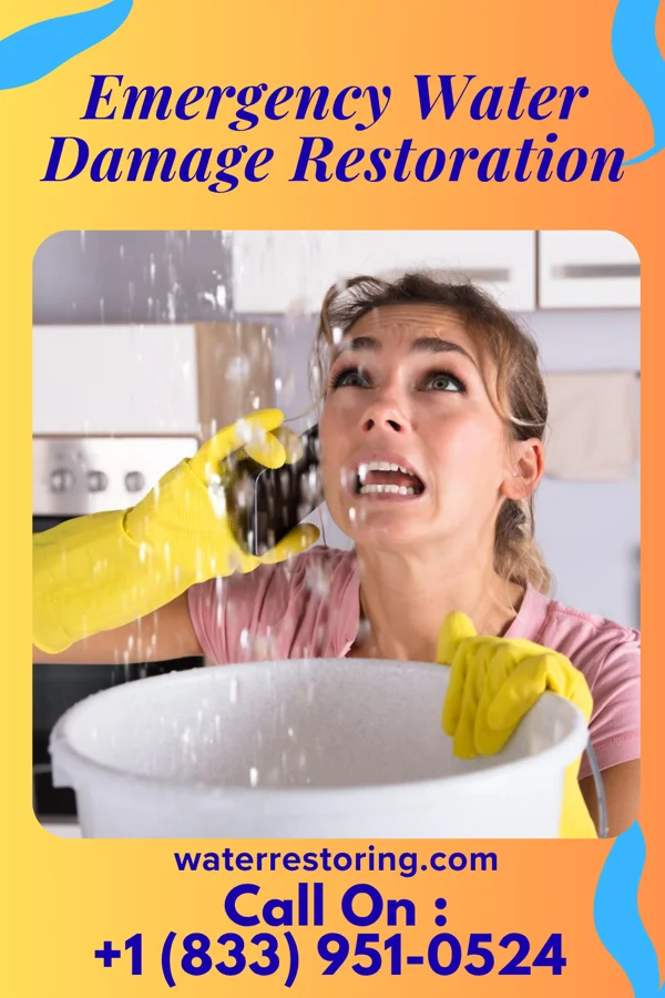 Emergency Water Damage Restoration in Watts Mills, SC