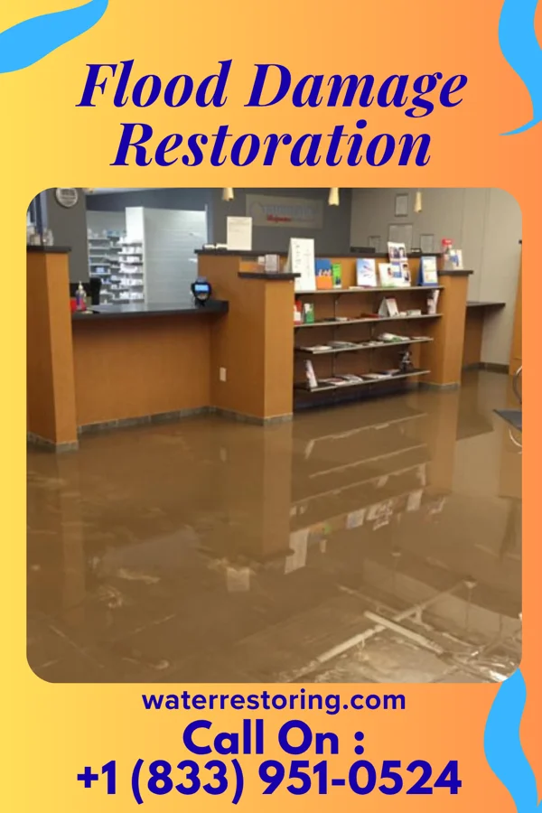 Flood Damage Restoration in Watts Mills, SC