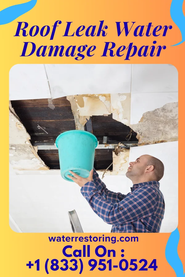 Roof Leak Water Damage Repair in Watts Mills, SC