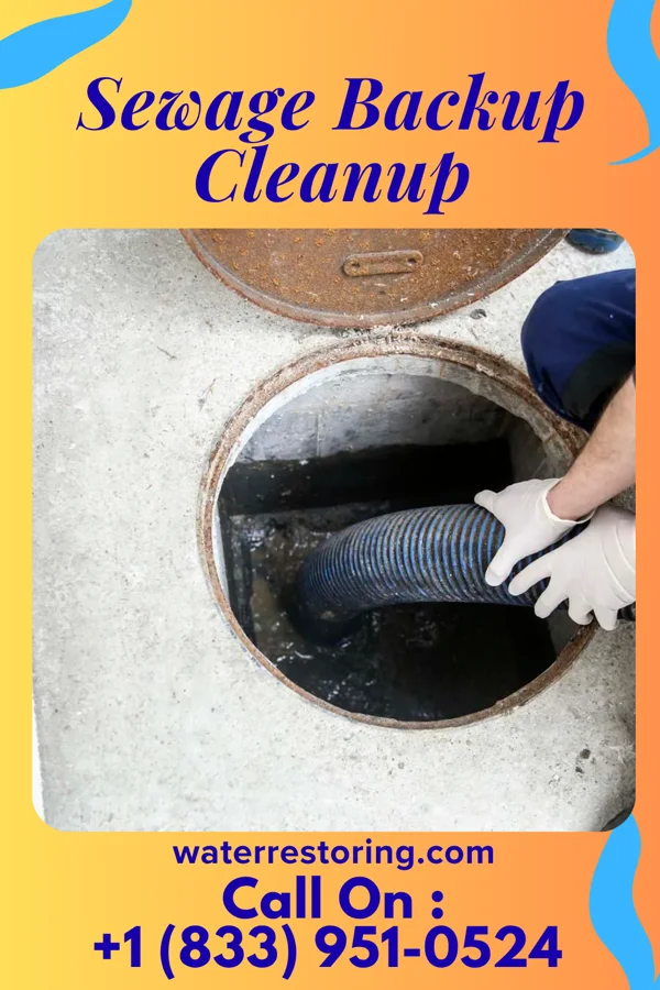Sewage Backup Cleanup in Watts Mills, SC