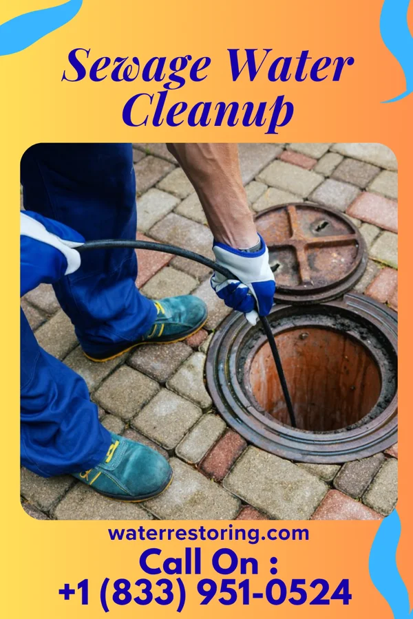 Sewage Water Cleanup in Watts Mills, SC