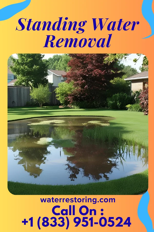 Standing Water Removal in Watts Mills, SC